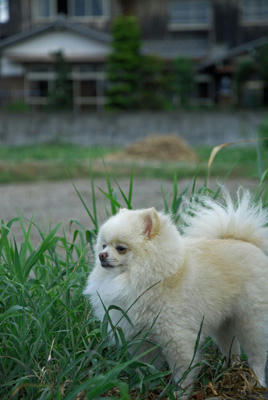 ふむむ