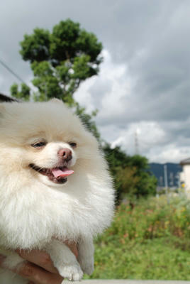 ふぅ