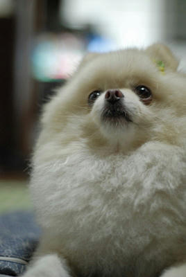 ふぬぅ