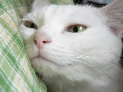 なに見てんのよ