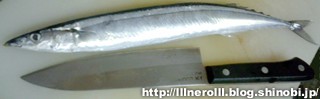 P1015873r.jpg