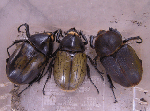 5c887914.gif