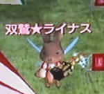 usagirainasu.jpg