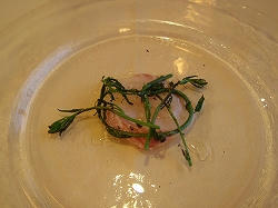 P1010043.jpg