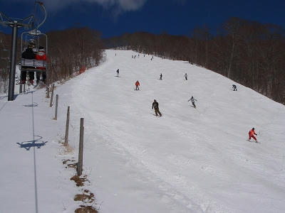 岩鞍ぶなの木コースのコブ