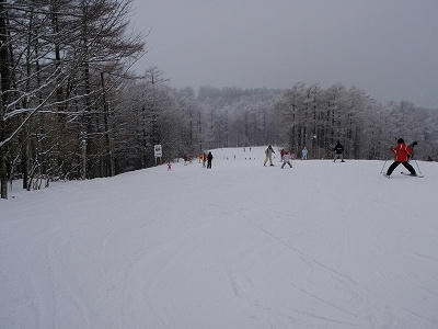 エーデルワイススキー場フラットな緩斜面