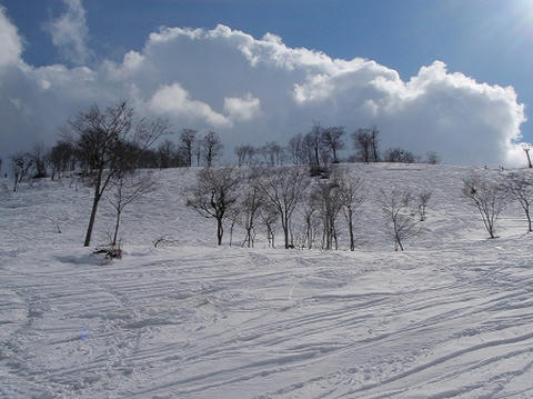 奥只見丸山スキー場 オフピステ