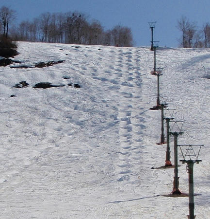 奥只見丸山スキー場 カモシカAコース下部＿モーグルのライン