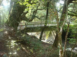 DSC07132.jpg