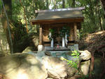 DSC07133.jpg