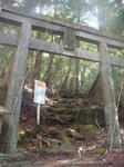 DSC07135.jpg
