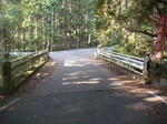 DSC07136.jpg