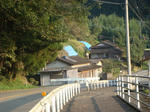 DSC07154.jpg