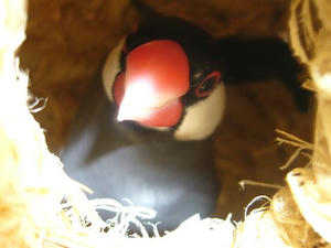 624_S0001.jpg