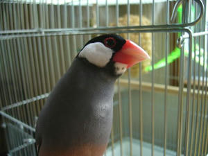 70708_S0003.jpg