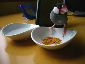 070824-03.jpg
