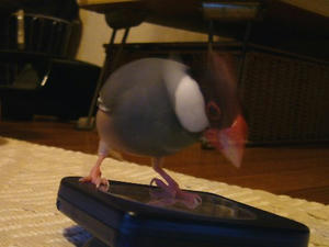 070912.jpg
