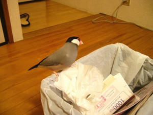 b642be97jpeg