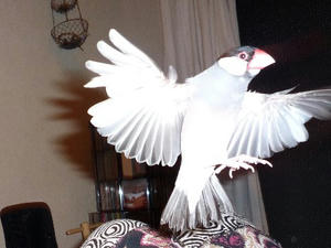 080303-06.jpg