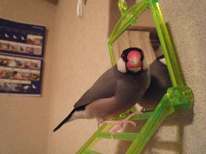 080303-05.jpg