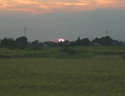 夕日