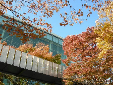 りゅーとぴあ2010-1
