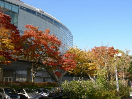 りゅーとぴあ2010-2