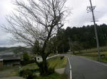 pict.JPG