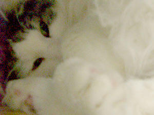080126namo.jpg