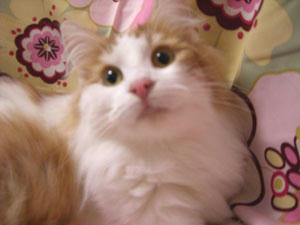 080128baby.jpg