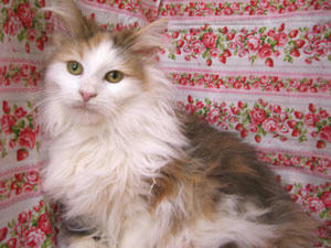 080205fuku1.jpg