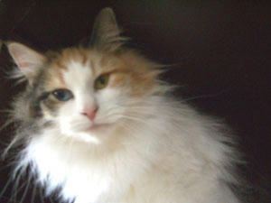 080205si3.jpg