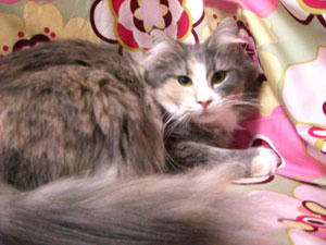 manga080218-1.jpg