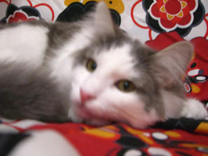 manga080302-1.jpg