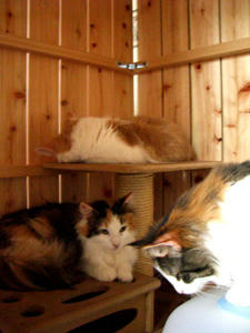 080326-01.jpg
