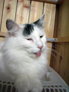 080327-01.jpg