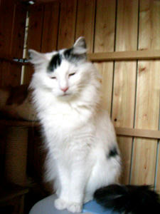 080327-04.jpg