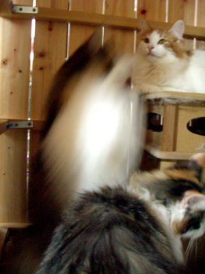080402-01.jpg