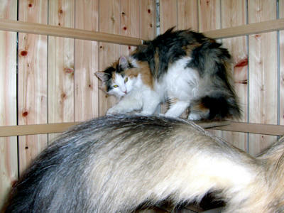 080402-02.jpg
