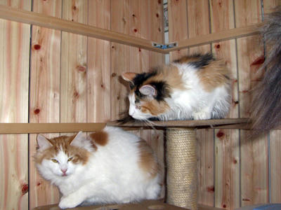 080402-03.jpg