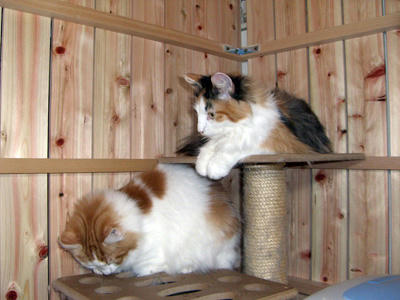 080402-04.jpg