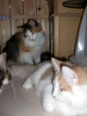 080405-01.jpg