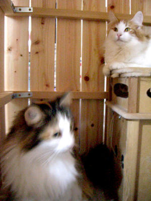 080405-05.jpg