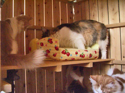 081023-4.jpg