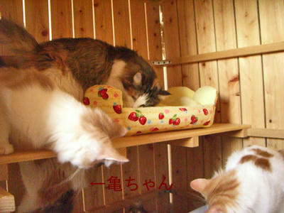 081023-6.jpg