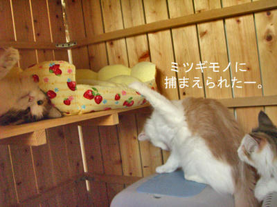 081028-1.jpg
