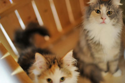 081113-5.jpg