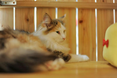 081120-1.jpg