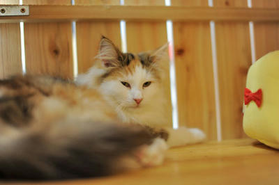 081120-2.jpg