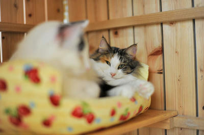 081121-2.jpg